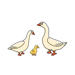 Vector cute outline doodle cartoon Goose Anser family. White male, female and yellow baby gosling. Isolated hand drawn illustration on white background, side view.