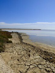 Terre et eau, Camargue