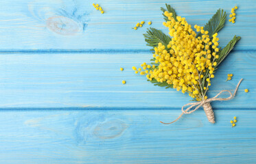Beautiful mimosa flowers on light blue wooden table, flat lay. Space for text - obrazy, fototapety, plakaty
