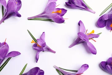 Fotobehang Krokus Beautiful Saffron crocus flowers on white background, flat lay  © New Africa