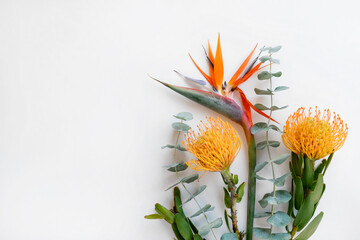 Colorful bouquet of exotic flowers. Bird of Paradise and protea flowers with eucalyptus. Vivid orange and yellow inflorescences of tropical plants isolated on white. Close up, background, copy space. - obrazy, fototapety, plakaty