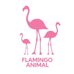 pink Flamingo bird tropical animal silhouette flat design style vector illustration