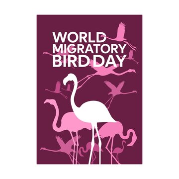 flamingo world migratory bird day poster design vector illustration