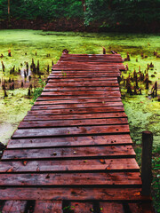 wooden pier on the pond