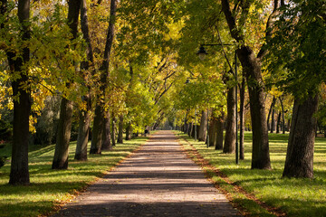 Naklejka premium Late summer in park