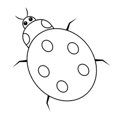 Ladybug. Sketch. An insect with specks on its back. Vector illustration. Coloring book for children. A cute creature with a mustache. View from above. Outline on isolated background. Doodle style.