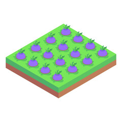 
An icon of farm fields isometric design 

