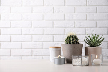 Beautiful Aloe and Cactus in pots with decor on grey table against white brick wall, space for text. Different house plants