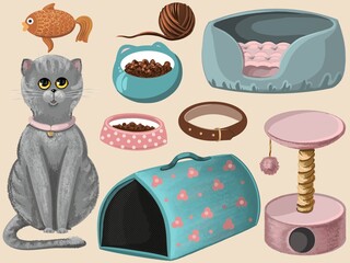 Set of illustrations of accessories for animals. Cat, bowls of food, scratching post, collar, pet carrier, toy. Isolated objects in cartoon style.