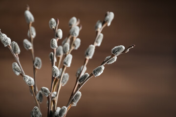 Beautiful bouquet of pussy willow branches on brown background, closeup - obrazy, fototapety, plakaty