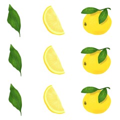 a bitmap image of yellow lemons, lemon slices and leaves on a white background, set. a bright juicy image. Digital imitation of a pencil. Design for wallpaper, fabrics, textiles.
