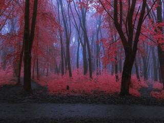 Dark mysterious forest in the fog in red tones. Magical gloomy woods. Morning in a strange forest. 