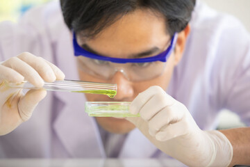 Asian man scientist or researcher with glasses is using auto-pipette droping a sample on the glass slide for microscope in medical laboratory. Concept Medical researcher.