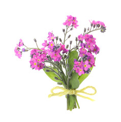 Bouquet of beautiful pink Forget-me-not flowers isolated on white