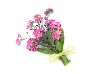 Naklejka na ściany i meble Bouquet of beautiful pink Forget-me-not flowers on white background, top view