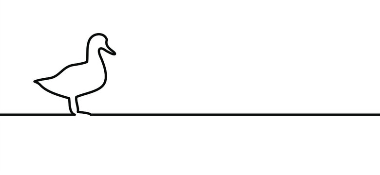 Wild duck line pattern. Animal bird, farm sign. Flat vector cartoon ducks. 