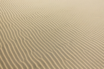 Fototapeta na wymiar The texture of sand on a dune in the desert