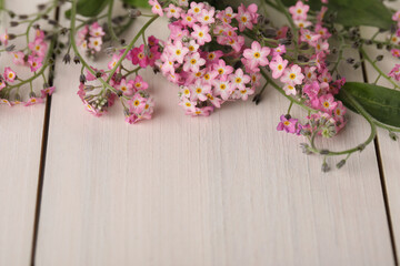 Obraz na płótnie Canvas Beautiful Forget-me-not flowers on white wooden table, closeup. Space for text