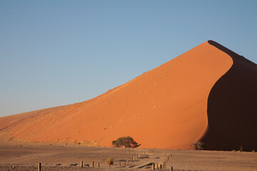 Fototapeta na wymiar Dune 40 Namibia