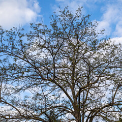 Gilbert Vilers park in Aix en Provence