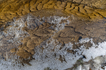 Curve of the patterned streambed and the ice crust at the edge of the current on a spring morning