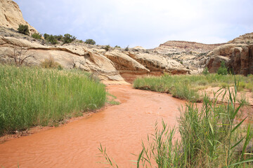 Freemont River near Hanksville in Utah, USA
