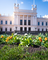Flowerbed with colorful spring flowers in front of the university building in Lund Sweden