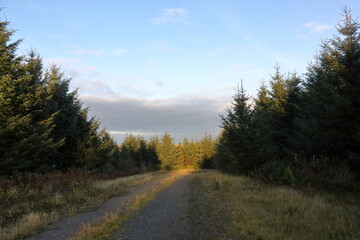 sunny track / road in the mountains