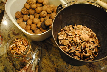 Noix, fruit du noyer commun (Juglans regia) décortiqué