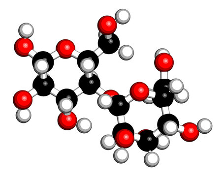 Lactose milk sugar molecule. 3D rendering. Atoms are represented as spheres with conventional color coding