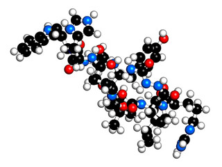 Goserelin breast and prostate cancer drug molecule. 3D rendering. Atoms are represented as spheres with conventional color coding: hydrogen (white), carbon (black), nitrogen (blue), oxygen (red)