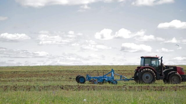 Tractor with cultivator loosens the soil and destroys weeds, preparing the field for planting. Tractor plows field against background of beautiful, green forest. Stork walks nearby and collects food.