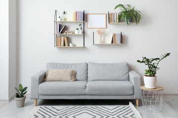 Shelves with books and sofa in interior of modern living room