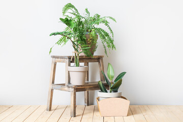 Wooden stand and pots with plants on light background