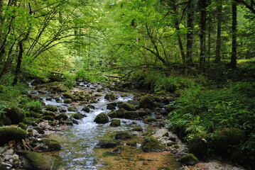 Source de Blanche Fontaine, lac vert, Gorges du Pichoux, Undervelier, Jura, Suisse