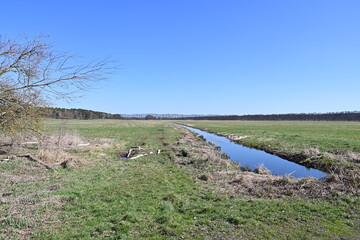 Panorama über die Landschaft in Brandenburg, Deutschland mit Bewässerungsgraben, Feldern und Wald...