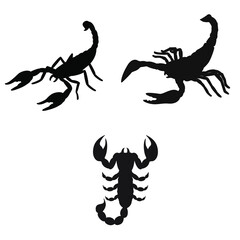 Scorpion vector icon set. poison illustration sign collection. insect symbol or logo.
