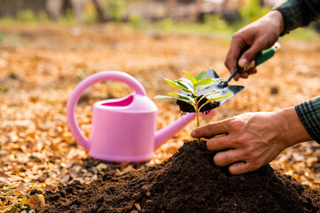 The young man planted trees in the garden as the Earth Day. To solve the problem of global warming And the concept of saving the earth, nature, environment and ecology