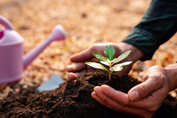 The young man planted trees in the garden as the Earth Day. To solve the problem of global warming...