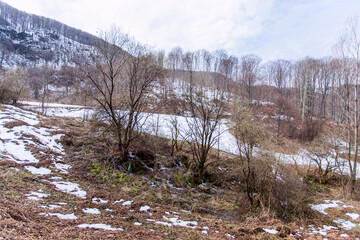 First days of spring, melting snow, forest creek, Spring nature landscape