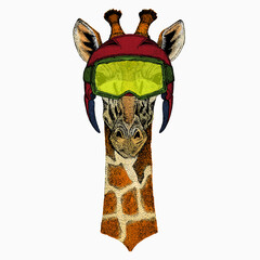 Obraz premium Vector giraffe portrait. African safari animal head.