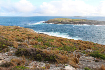 coast at kangaroo island (australia)