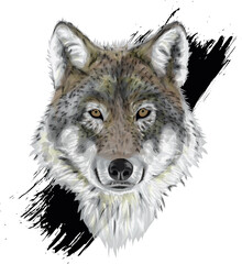 Vector grunge portrait - Wolf 