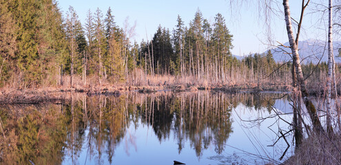 Spaziergang durch die Eulenau