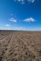 plowed field in spring