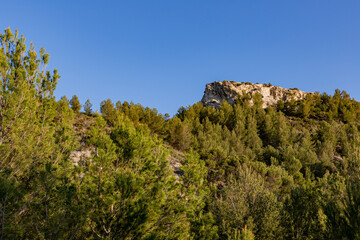 Mallorquin Landscape