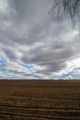 plowed field and sky