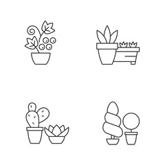 Gardening store categories linear icons set. Succulents and cactus growing in dry and warm climate. Customizable thin line contour symbols. Isolated vector outline illustrations. Editable stroke