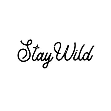Stay wild. Calligraphy and hand lettering quote, motivational slogan. Phrase for posters, t-shirts and cards.