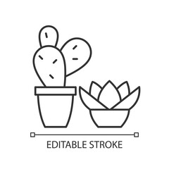 Succulents and cacti linear icon. Special desert plants that grow in warm dry areas. Thin line customizable illustration. Contour symbol. Vector isolated outline drawing. Editable stroke